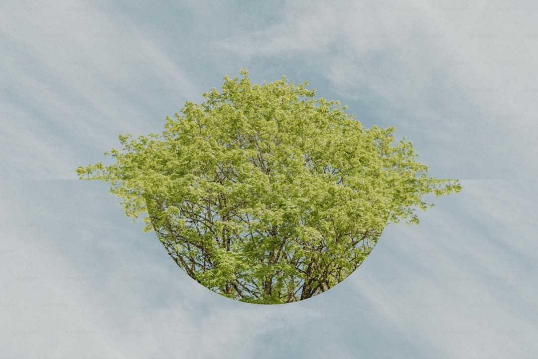 2025年暑期档总票房破100亿